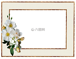 幀,金邊緣,白玫瑰