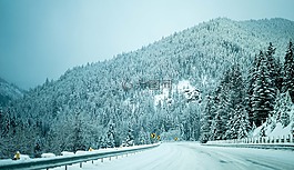自然,雪,冬天