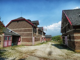 荷蘭,農(nóng)場,農(nóng)村