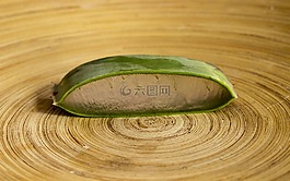 食品,木,健康