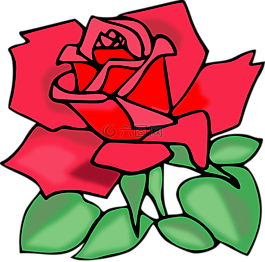 玫瑰,花,紅色