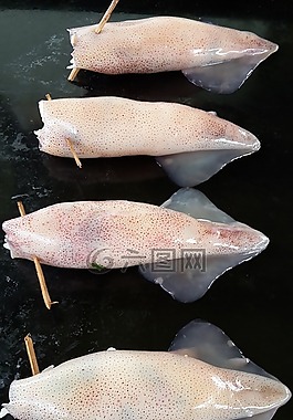 食品,魷魚,美食