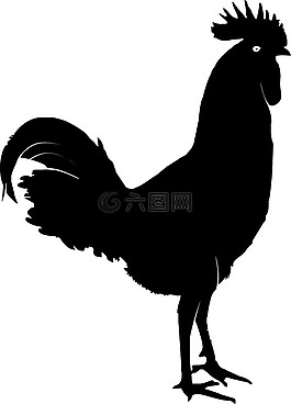 加洛,图像,黑