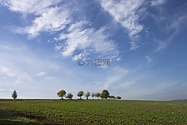 字段,性質(zhì),格羅夫的樹木