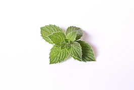 薄荷,食品,茶