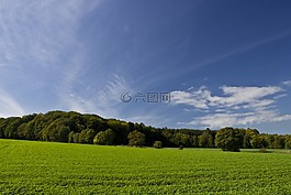 字段,himmmel,森林