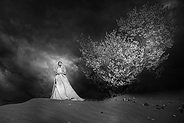 星空,黑白,藝術(shù)