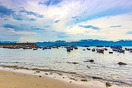 吻,大海,芽