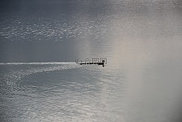 鸭家庭,河,湖