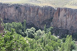 ihlaravalley,卡帕多西亞,樹