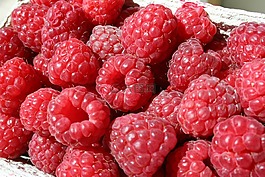 覆盆子,甜點(diǎn),水果