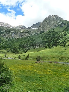 性質(zhì),景觀,山