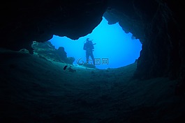 水下,跳水,海底世界