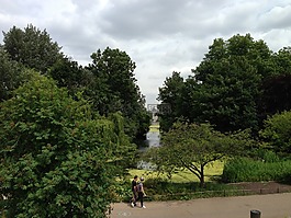 倫敦,公園,綠色