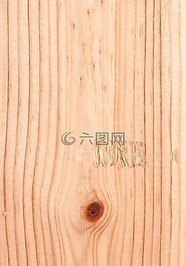 木材,背景,木