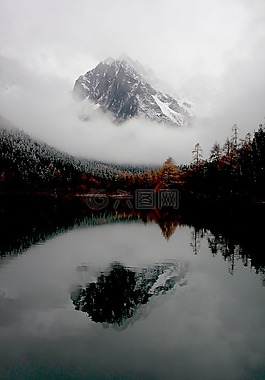 自然,森林,伍茲