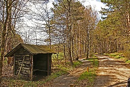 徒步旅行,離,棚屋