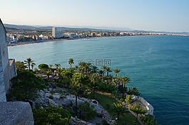 海滩,视图,海