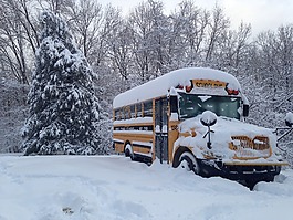 總線,冬天,雪