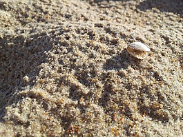海灘,砂,夏季
