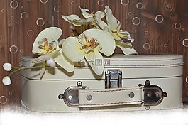 行李,蘭花,勛章