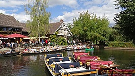 德国,lübbenau,spreewald