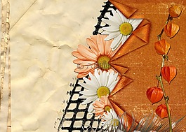 鮮花,賀卡,結(jié)構(gòu)