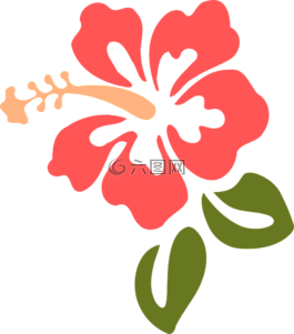槿,花,粉紅色