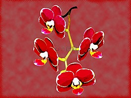 蘭花,復古的花朵,花