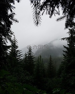 山,高原,景觀