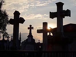 墳場,里昂,愛的忠誠度
