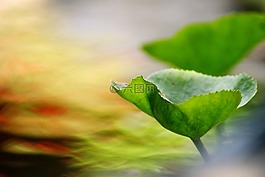 工作表,沒有人,性質(zhì)