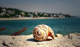 海,藍光,水