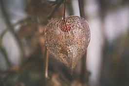 性質(zhì),戶外,食品