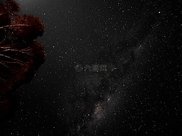 星星,夜,天空
