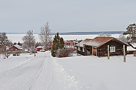 全白,封面,雪