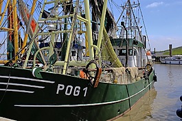 拖網(wǎng)漁船,船舶,海港