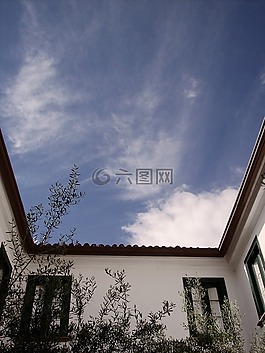天空,庭院,樹