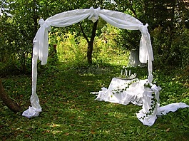 婚禮,裝修,花園