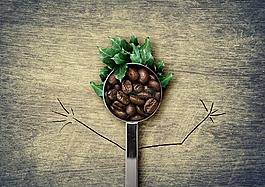 咖啡,bean,勺子