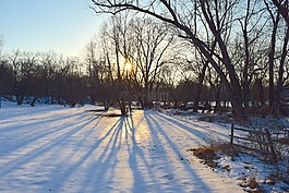 雪,公園,日落