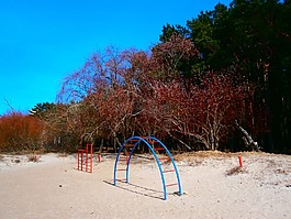 春,運動,體育