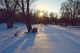 雪,公園,日落