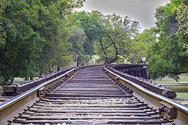 鐵路公路,樹,鐵路
