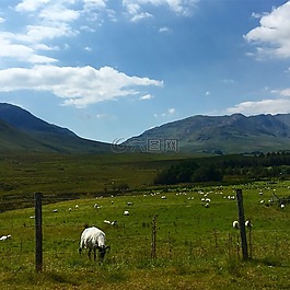 山,景观,农业
