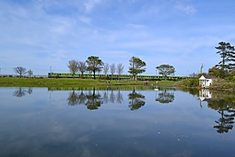 反思,池,火車