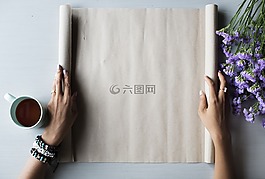 有吸引力,空白,盛開