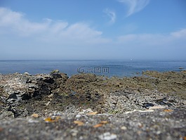 海,海灘,外殼