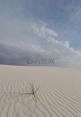 荒野,墨西哥,國家