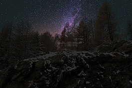 全景,樹,性質(zhì)